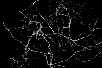 White paint splash isolated on black background.