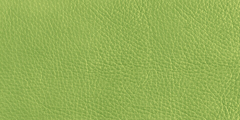 Palm Leaf Green, real leather backgrounds in high resolution for pure 3D texture design