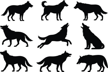Wolf silhouettes in different poses, wild animal shapes, howling and walking wolves, nature wildlife, forest predators, canine pack illustrations, outdoor wildlife