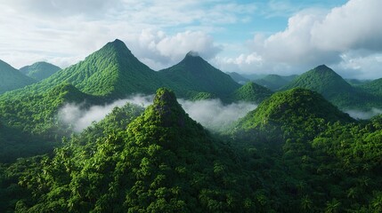 A breathtaking aerial view of a dense rainforest with mist rising from the treetops