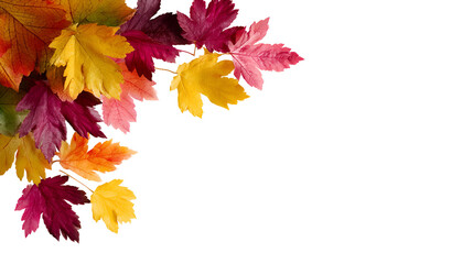 Colorful autumn leaves border against black background