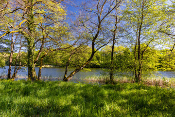 Lato nad jeziorem. Pojezierze drawskie © Robert