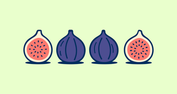 Fig fruit, Fig seed icon logo flat vector design