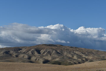 BARDENAS