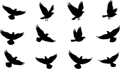 Flying bird silhouettes in motion, isolated black shapes of birds in various wing positions, perfect for nature, wildlife, and design themes.