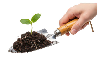 Hand holding garden trowel with seedling in soil isolated on transparent background png