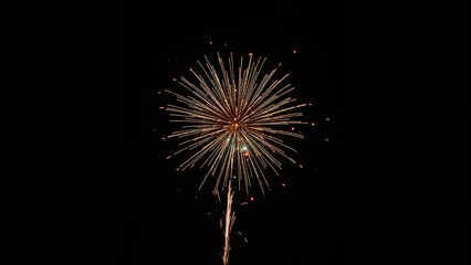 Fototapeta premium Fireworks display celebrating, with bright explosion of colors against dark night sky. Festive event, celebration, fireworks. The spectacle of light and celebration.