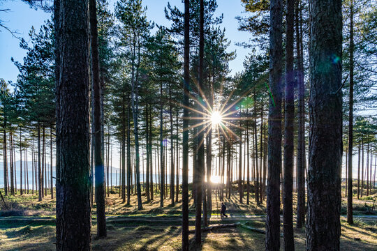 walking around Newborough Forest and Llandwyn Island Anglesey