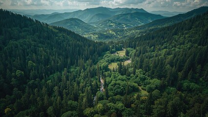 Fototapeta premium Lush green forested mountains with a small river running through the valley, surrounded by hills and distant mountain ranges.