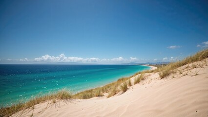 Fototapeta premium A beach with sand dunes and grassy vegetation, turquoise sea, and a clear blue sky with clouds.