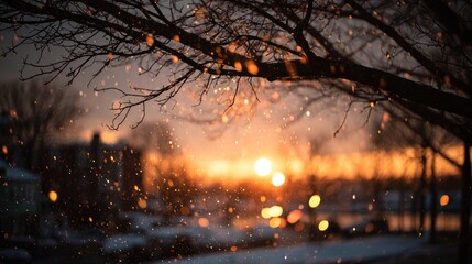 Winter sunset over a snow-covered landscape with tree branches.