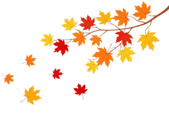 Colorful autumn leaves on a branch isolated on transparent background illustration