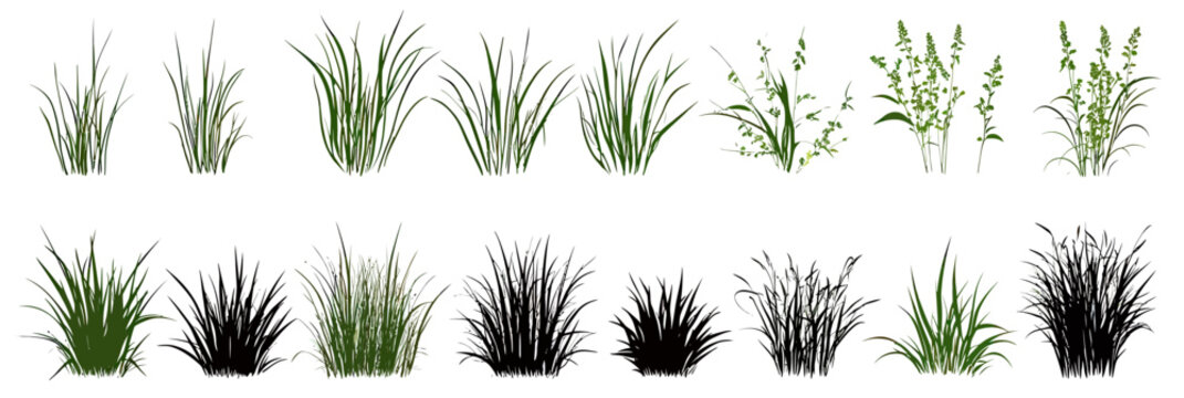 Collection of flat minimalist vector green grass silhouettes and botanical plant elements with detailed blades and tufts for landscape and garden designs