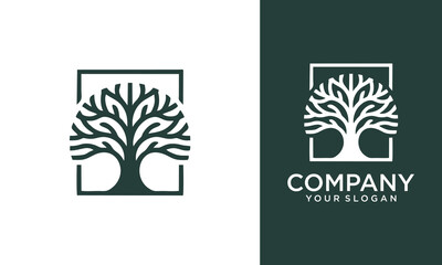 Square tree logo design. Branch symbol with minimal line concept. Nature plant template