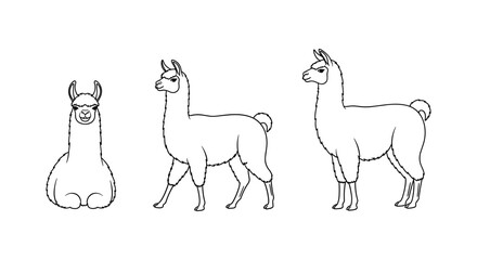 Obraz premium Llama line art trio: cute animals in minimalist black and white design