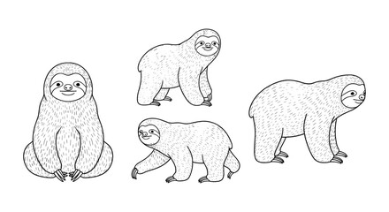 Obraz premium Hand drawn sloth set: cute and playful black and white animal illustrations