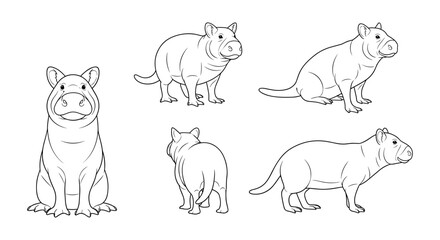 Capybara outline set: multiple poses of the world's largest rodent