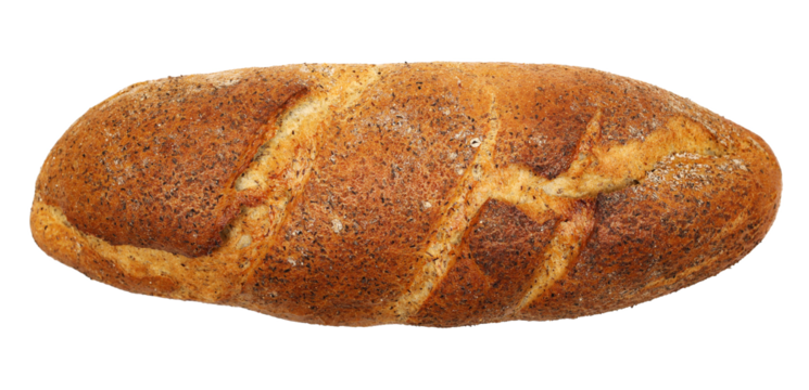Fresh baked, loaf of buckwheat bread isolated on white, clipping path, top view