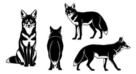 Fototapeta premium Four black and white fox silhouettes showcasing different poses and angles