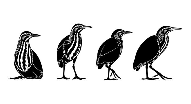 Heron silhouette set: detailed black and white bird design on white