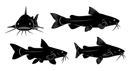 Fototapeta premium Catfish silhouette set: aquatic wildlife in black and white illustrations