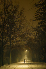 A back view of a person strolling through a park on a wintry night