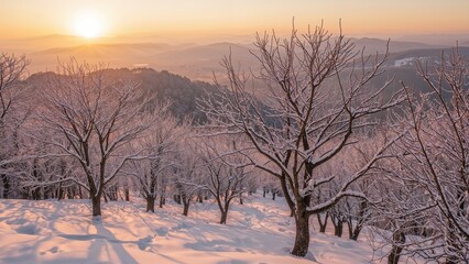 A winter landscape with snow-covered trees during sunset. Cold, nature, and winter scenery.