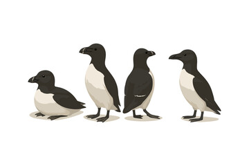 Obraz premium Colorful puffins in different poses on white background