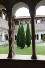 Three cypress treewithin a cloister, between silence and serenity