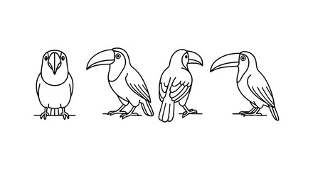 Naklejka premium Toucan line art: minimalist bird line drawing set in various poses