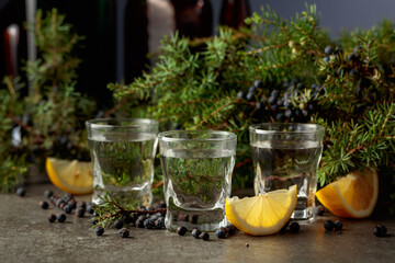 Juniper berry gin with lemon slices.