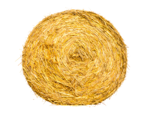 Round Hay Bale in Field