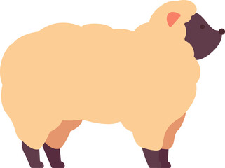 Flat Illustration of White Sheep Farm Animal