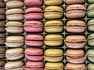 Colorful rows of assorted macarons arranged neatly in a pattern. Bright dessert display with various pastel tones and textures.