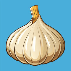 vector illustration of garlic