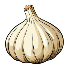 vector illustration of garlic