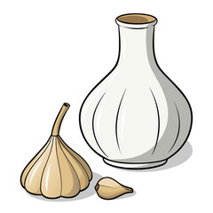 vector illustration of garlic