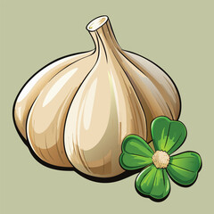 vector illustration of garlic