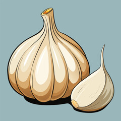 vector illustration of garlic