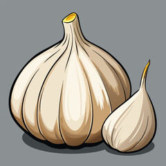vector illustration of garlic
