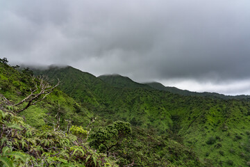 Mauʻumae Ridge Trail (Puʻu Lanipō), Oahu, Hawaii. Koʻolau Range, shield volcano.	
