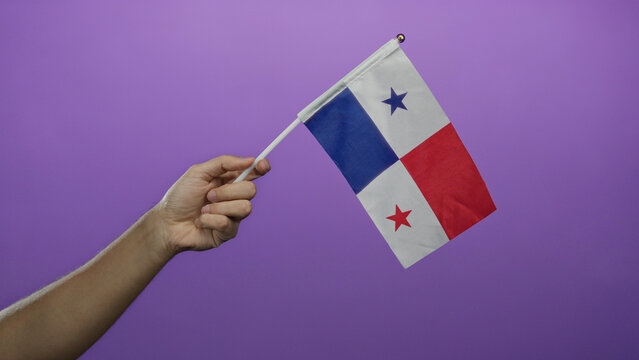 Caucasian man's hand holds a waving panama flag against an isolated purple wall background, symbolizing national pride and culture.