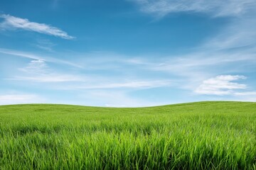 Fototapeta premium Vibrant green grass field under clear blue sky with cloud patterns