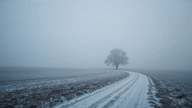 A snowy landscape with a winding road and a lone tree under a foggy sky.