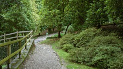 Fototapeta premium Soft defocused bokeh view of a park path with wooden fence, gravel trail and leafy trees in shallow focus; background backdrop copyspace calm.