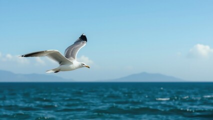 Obraz premium Seagull flying over the ocean with mountains in the background. Coastal wildlife scene. Nature and sea life. The image of a bird in flight above water.