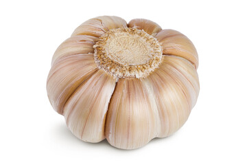 unpeeled whole garlic isolated on white background close up