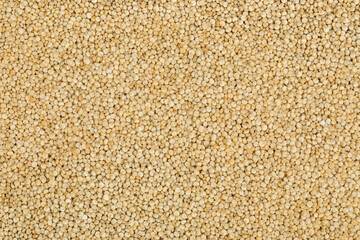 white quinoa seeds as a background. Top view. Flat lay