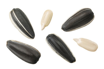 Sunflower seeds isolated on white background. Top view. Flat lay