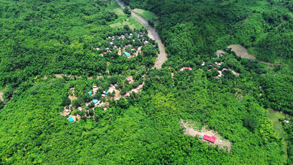 Aerial view of lush green forest with scattered buildings, Aerial view of lush green forest with scattered buildings